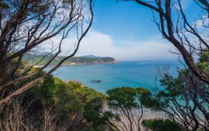 Gippsland Coastline